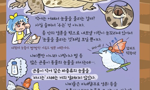 宝宝树视频-宝宝树 嘿咻时间网—知名的宝宝树集团发布声明网站,分享宝宝树这个公司怎么样知识